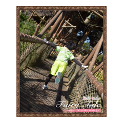 03605b5261a8c7ed50e3d2925c2835d7